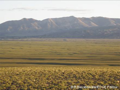 Saiga Habitat