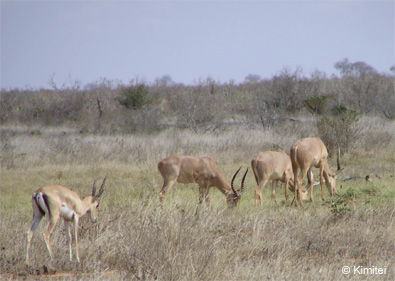 AB Batchelor group with grants gazelle
