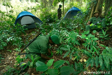 Rangers need tents to sleep during patrols that can last up to 3 weeks
