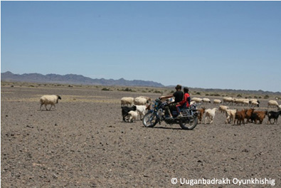 Herders on bikes
