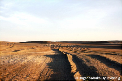 Tracks inthe desert