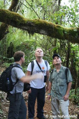 Walking through cloud forest