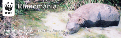 Rhinomania blog