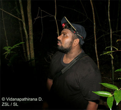 Nocturnal transect - looking for loris