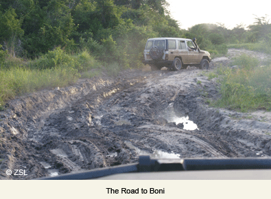 The road to Boni