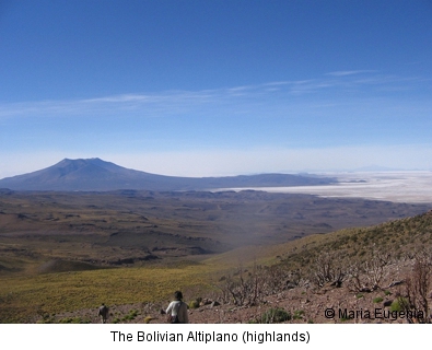 Bolivian Altiplano (highlands)