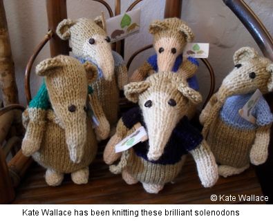 Knitted solenodons