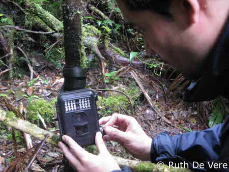 Camera trap