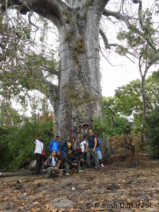 Under the baobab treelow