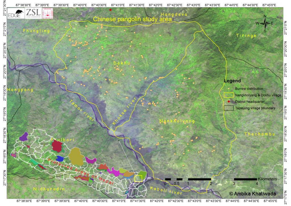 Ambika_burrow_distribution_credit