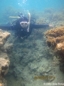 Crack in the western side of Batasan Island