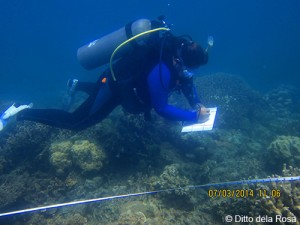FIsh census in Buenavista Marine Sanctuary