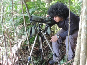 Kahlil Observing a Philippine eagle