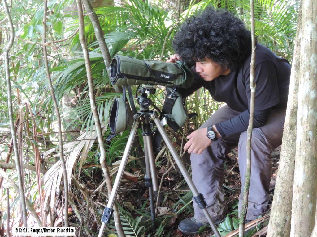 Kahlil Observing Eagles_with copyright