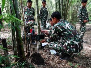 A pangolin tracking workshop with the rangers