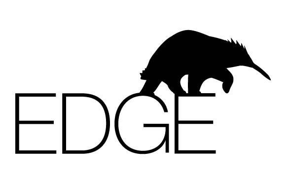 Launch of EDGE