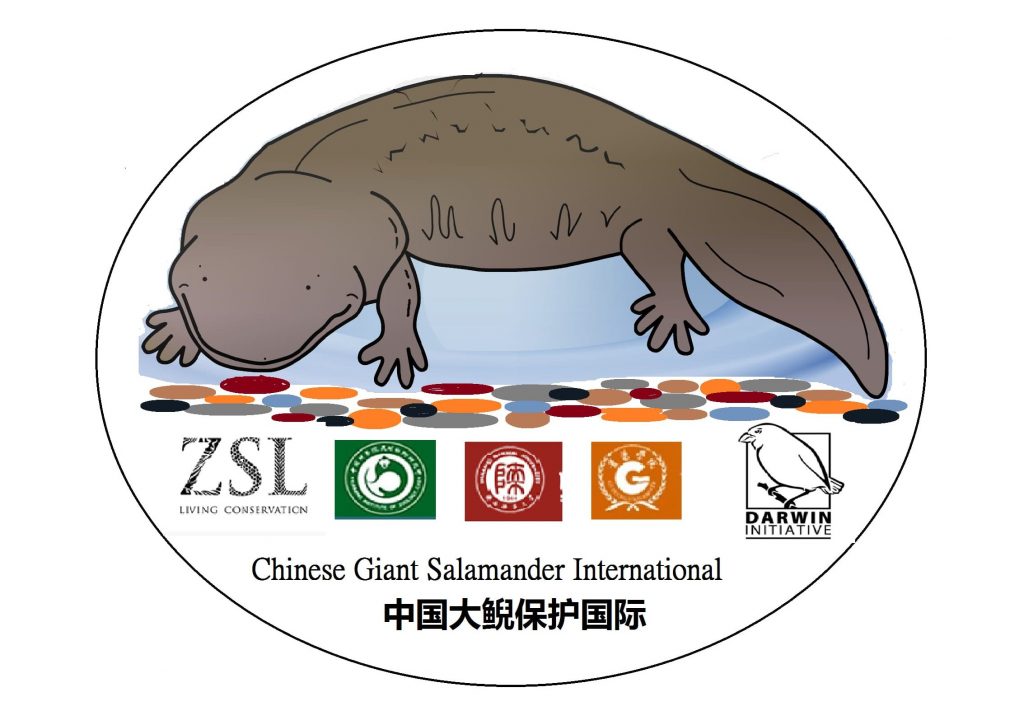 A Sustainable Future for Chinese Giant Salamanders