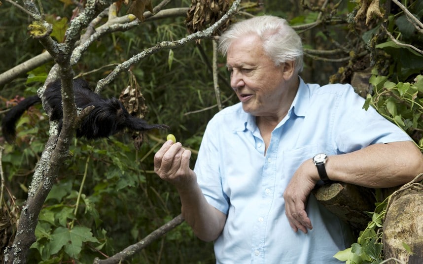 Sir David Attenborough Highlights EDGE