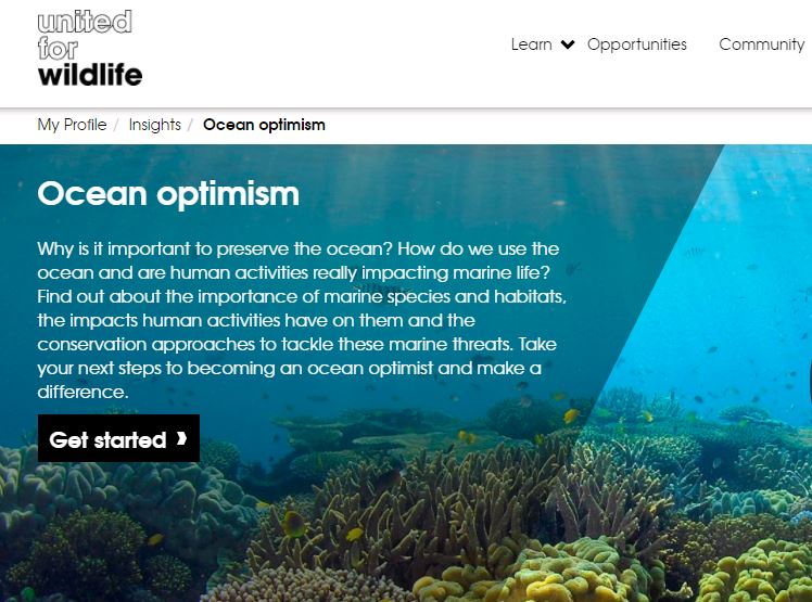 Ocean optimism – Online Learning Course Launched