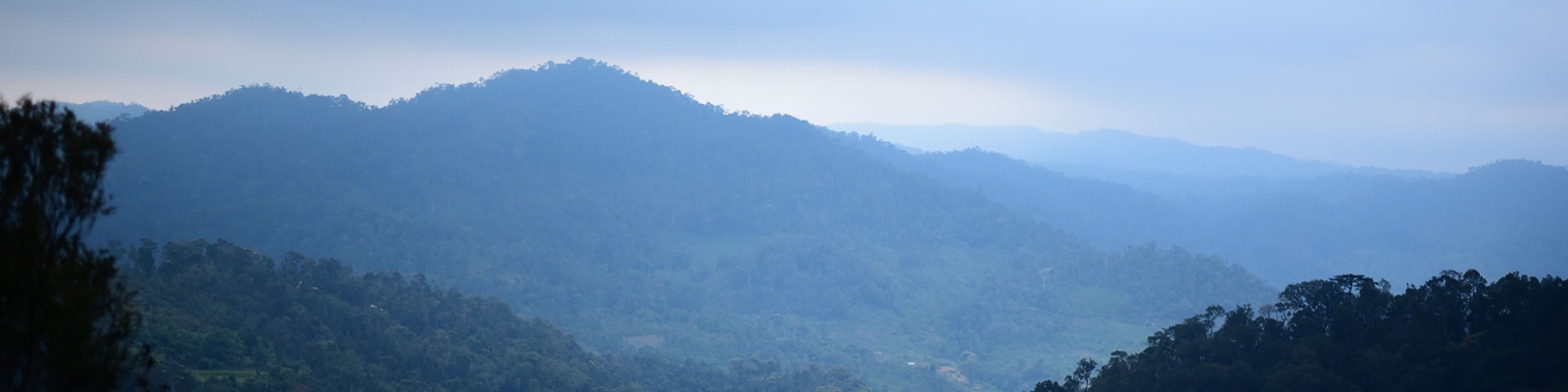 Daira