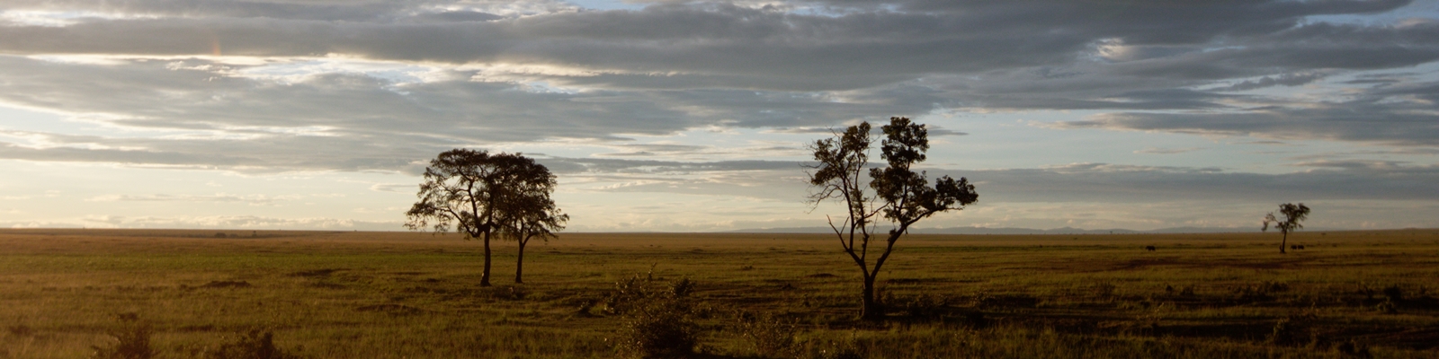 Horris Wanyama Kenya banner ©Emmanuel Bonnetot