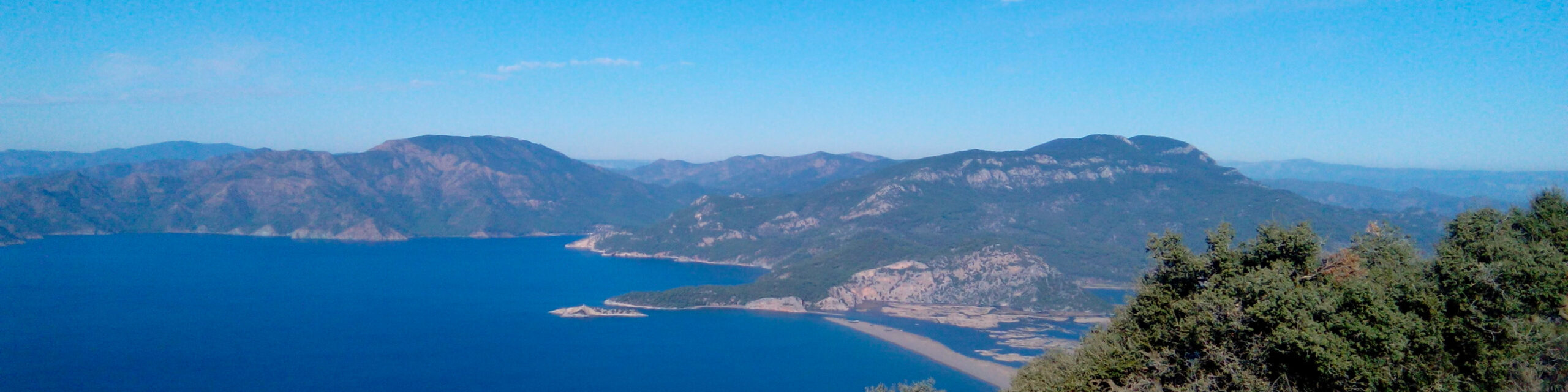 turkey
