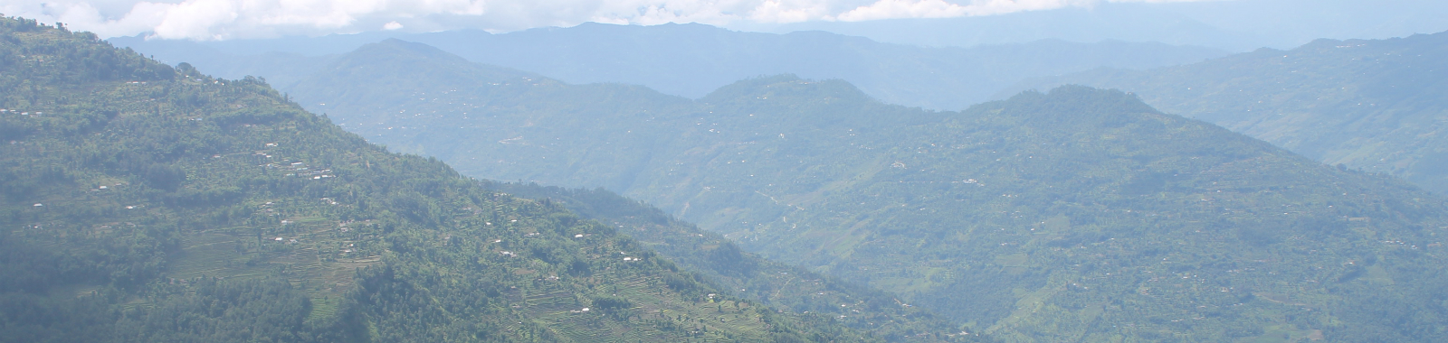 Pangolin Study Site Taplejung