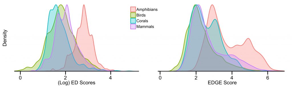 EDGE Species distributions