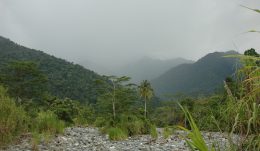 Papua
©ZSL/Jonathan Baillie