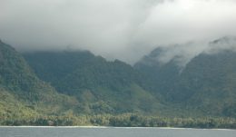 Papua
©ZSL/Jonathan Baillie