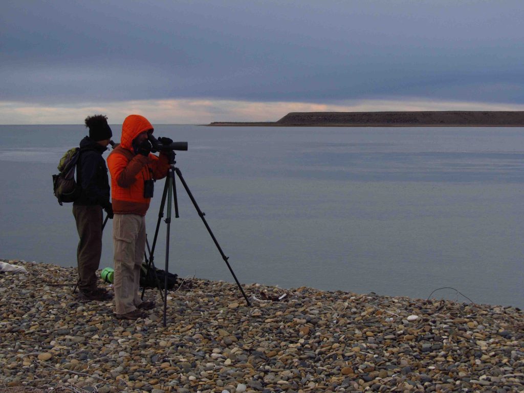 EDGE EDBE expedition to Argentina