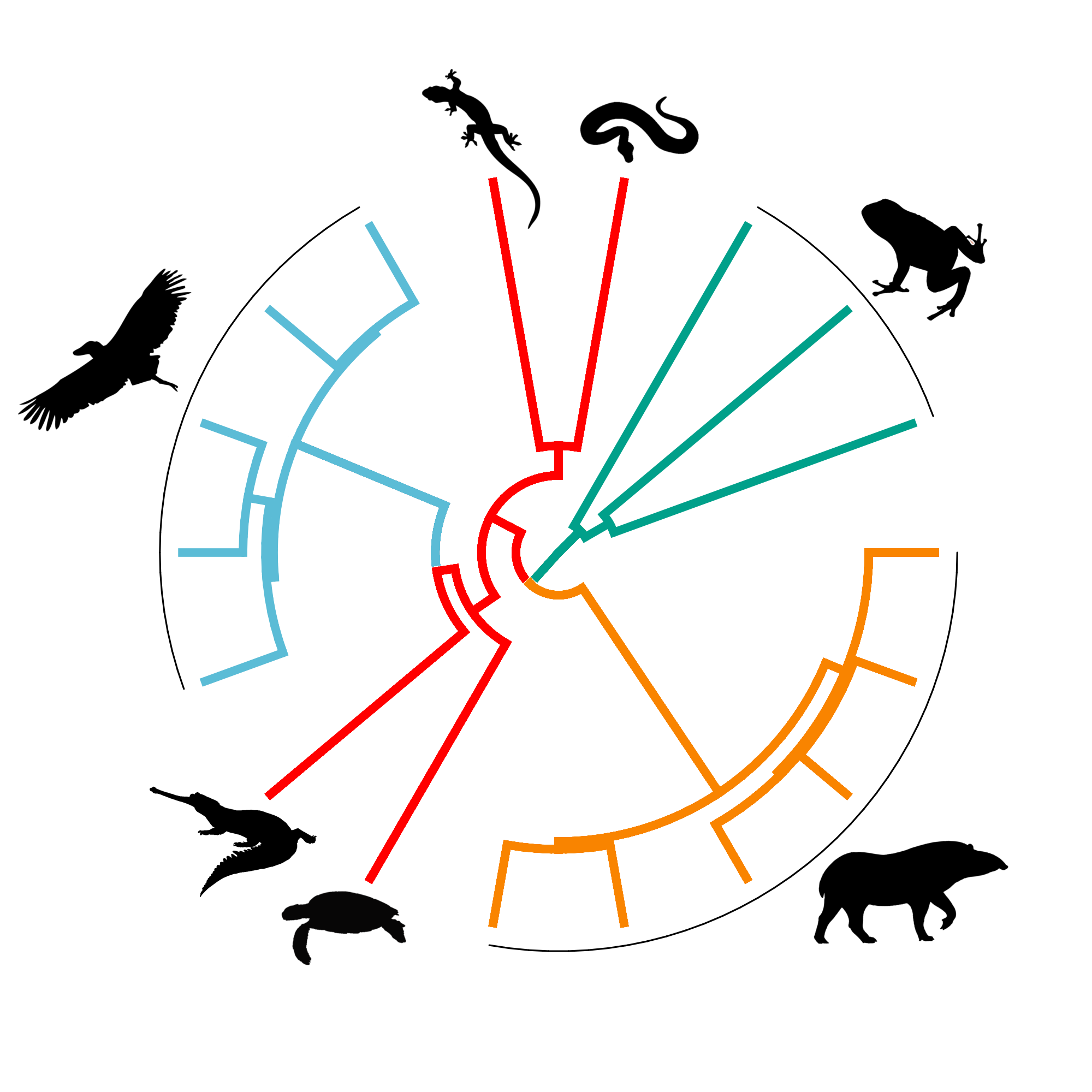 EDGE taxonomic groups