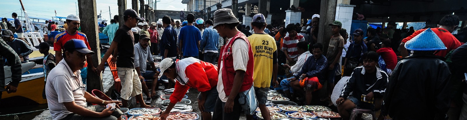 Indonesian fishery