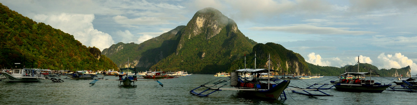 Palawan banner