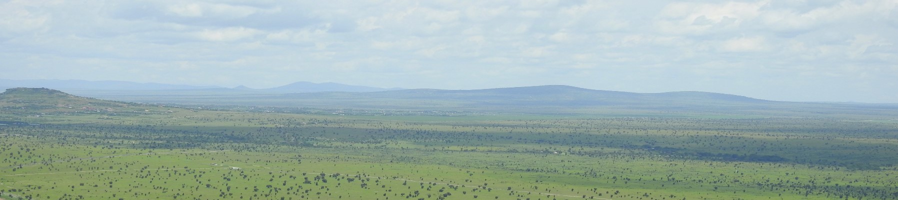 Kenyan plains