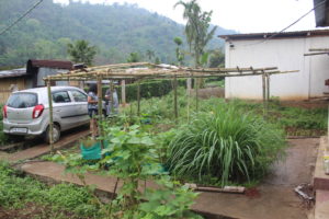 Vegetable patch at base camp (c) Adrian W Lyngdoh