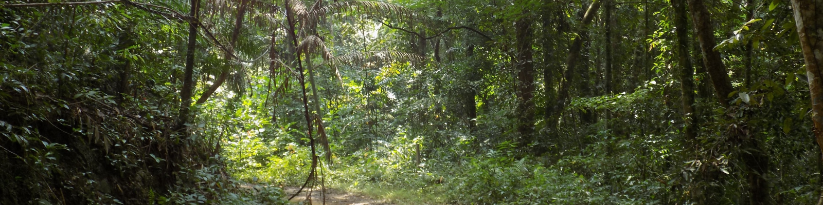 Location – R S Naveen Location - R S Naveen