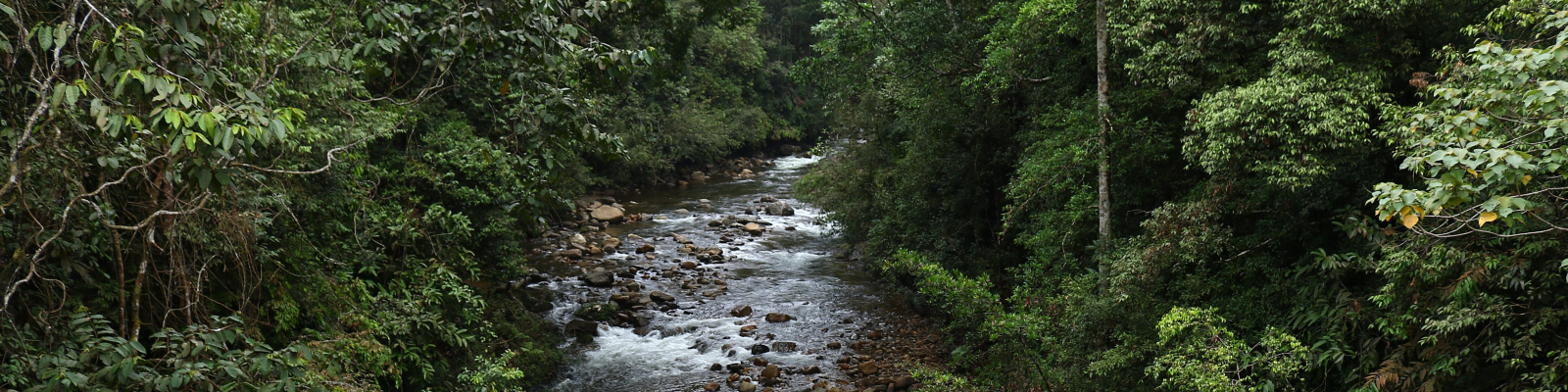 Location - Tharushi Malshani