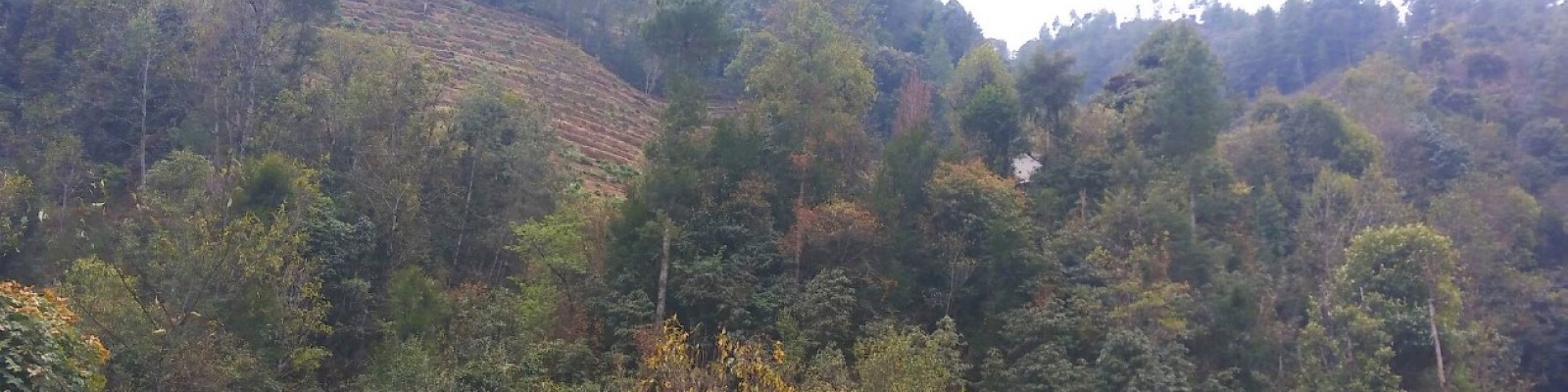 Location – Reshu Bashyal Location - Reshu Bashyal