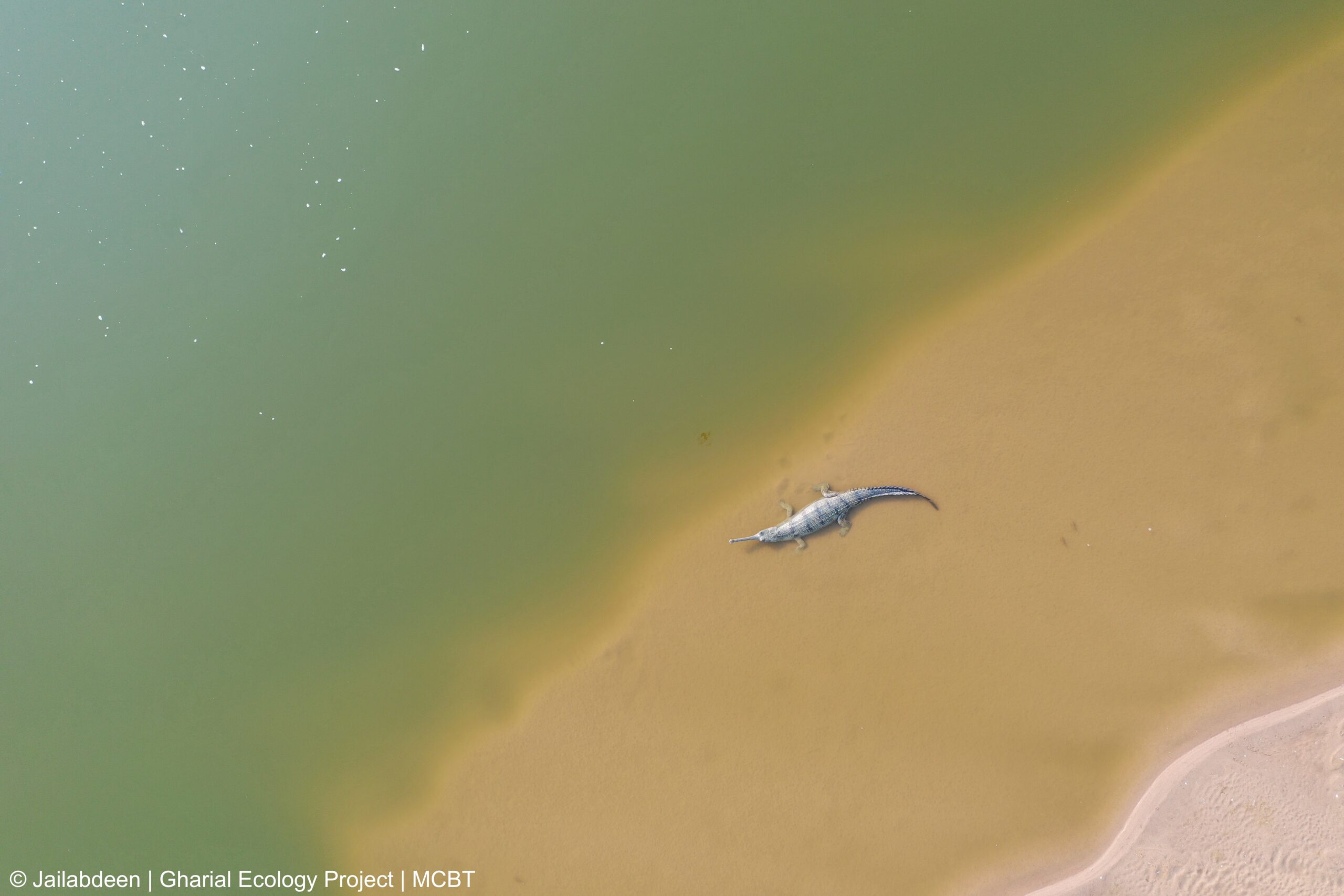 The Eau Claire River is losing sand, and it's a good thing