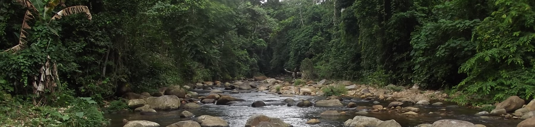 Ikechukwe Habitat