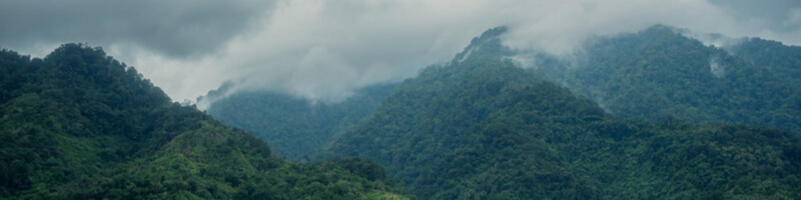 Jeff header